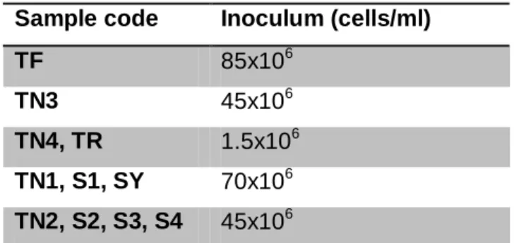 Table 6: Cell concentration of inocula 