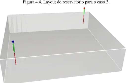 Figura 4.4. Layout do reservatório para o caso 3. 