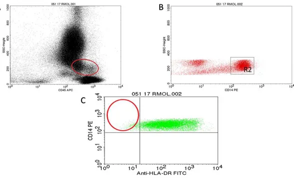 Figura 3: Sequência de análise para delimitação da população de interesse: monócitos supres- supres-sores CD14 + /HLA-DR -  por citometria de fluxo