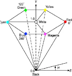 Figura 2.10 - Representação do modelo de cor HSV e respectiva cor dos vértices [43]. 