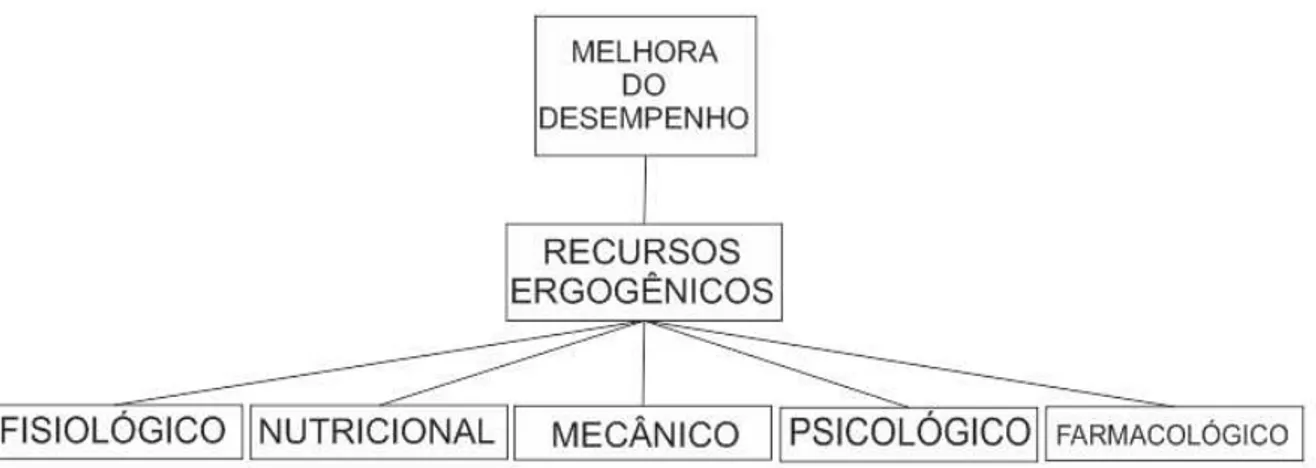 Figura 1. Tipos de agentes ergogênicos 