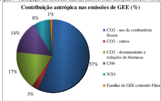 Figura 4 - Participação dos diferentes GEE nas emissões totais antrópicas em 2004 (CO 2 e)