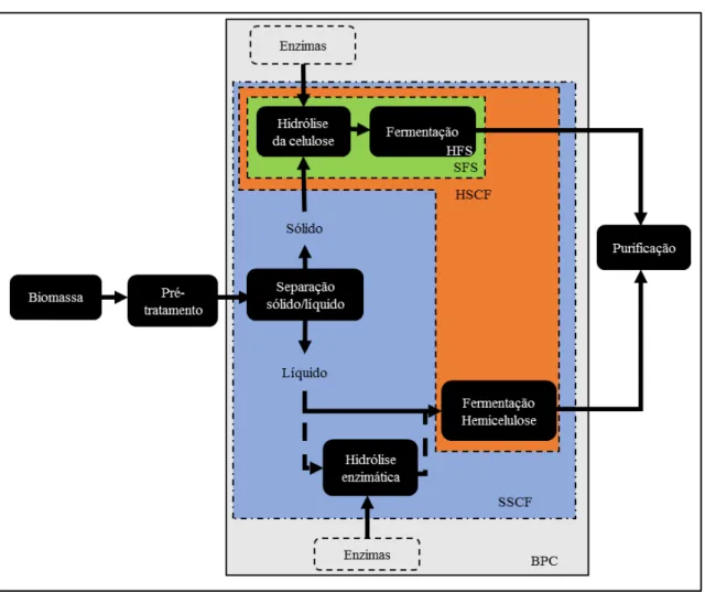 Figura 2  –  Processo de hidrólise enzimática da biomassa vegetal – perspectiva de integração 