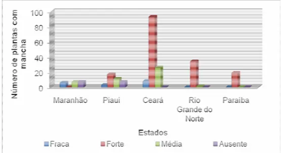 Figura 5. Número de plantas com mancha nas pétalas de algodoeiro   mocó. 