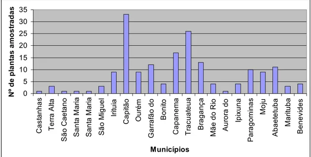 Figura 2: Número de plantas amostradas segundo o município no estado do Pará 