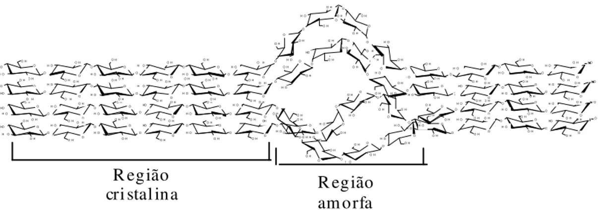 Figura 7: Estrutura da celulose destacando a região cristalina e região amorfa (SUN; 