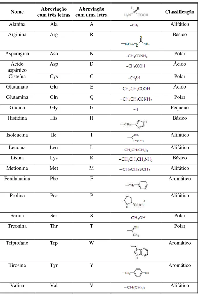 Tabela 1.1  –  Abreviações e estruturas dos resíduos de 20 (L) aminoácidos. 
