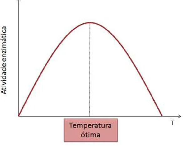 Figura 1.5  –  Curva de temperatura em função da atividade enzimática.