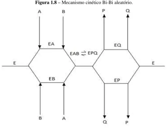 Figura 1.8 – Mecanismo cinético Bi-Bi aleatório. 