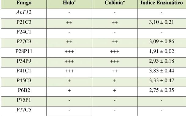 Tabela 1. Formação de halo claro e de crescimento entre os diferentes fungos em placas com  EFA