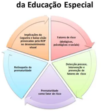 Figura 1 – O desenvolvimento visual no campo da Educação Especial 