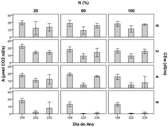 Figura 6 - Taxa de fotossíntese líquida (A, µmol CO 2  m -2  s -1 ) das plantas de sorgo sacarino regadas com quatro  níveis de condutividade eléctrica (0, 2, 4 e 6 dS m -1 ) e três níveis de fertilização azotada (20%, 60% e 100%) 