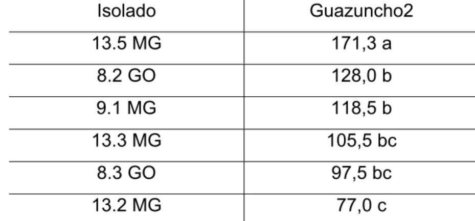 Tabela 3: Número médio de pontos necróticos entre os isolados de R. areola observado em Guazuncho-2  Isolado Guazuncho2  13.5 MG  171,3 a  8.2 GO  128,0 b  9.1 MG  118,5 b  13.3 MG  105,5 bc  8.3 GO  97,5 bc  13.2 MG  77,0 c 