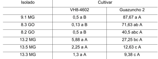 Tabela 5: Número médio de esporos entre os isolados de R. areola para as  cultivares Guazuncho-2 e VH8-4602  Isolado Cultivar   VH8-4602  Guazuncho  2  9.1 MG  0,5 a B  87,67 a A  8.3 GO  0,13 a B  71,63 ab A  8.2 GO  0,5 a B  40,5 abc A  13.2 MG  5,88 a A