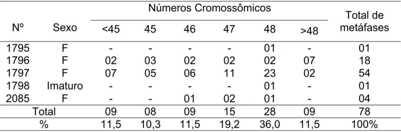 Tabela 1. Valores diplóides encontrados em metáfases de Menticirrhus americanus.