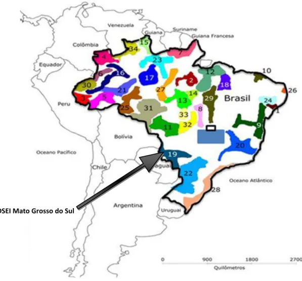 FIGURA 1  –  Mapa da distribuição dos Distritos Sanitários Especiais Indígenas no  Brasil 