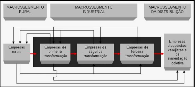 FIGURA 3 - Sistema agroindustrial, seus subsistemas e fluxos de suprimentos  Fonte: Batalha e Silva (2007, p