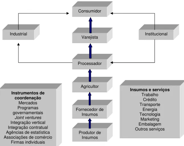 FIGURA 4 - Elementos do sistema de agronegócio  Fonte: Mendes e Padilha Junior (2007, p