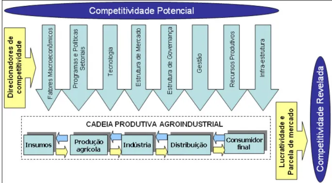 FIGURA 5. Direcionadores de competitividade sobre uma cadeia produtiva agroindustrial     Fonte: Adaptado de EUMERCOPOL (2008) e FAO (2007) 