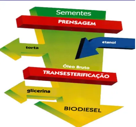 FIGURA 8. Processo de produção do biodiesel  Fonte: Biodieselbr.com 