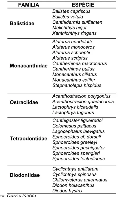 Tabela 1.  Lista  de  famílias  e  espécies  de  Tetraodontiformes  encontradas  no             