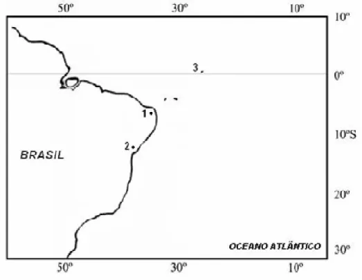 Figura 3. Mapa mostrando os pontos de coleta dos exemplares. 1. Natal (RN), 2. Salvador 