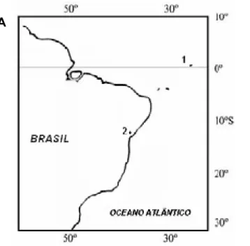 Figura 1. A. Mapa mostrando os pontos de coleta dos exemplares, onde 1) Arquipélago  de São Pedro e São Paulo e 2) Salvador