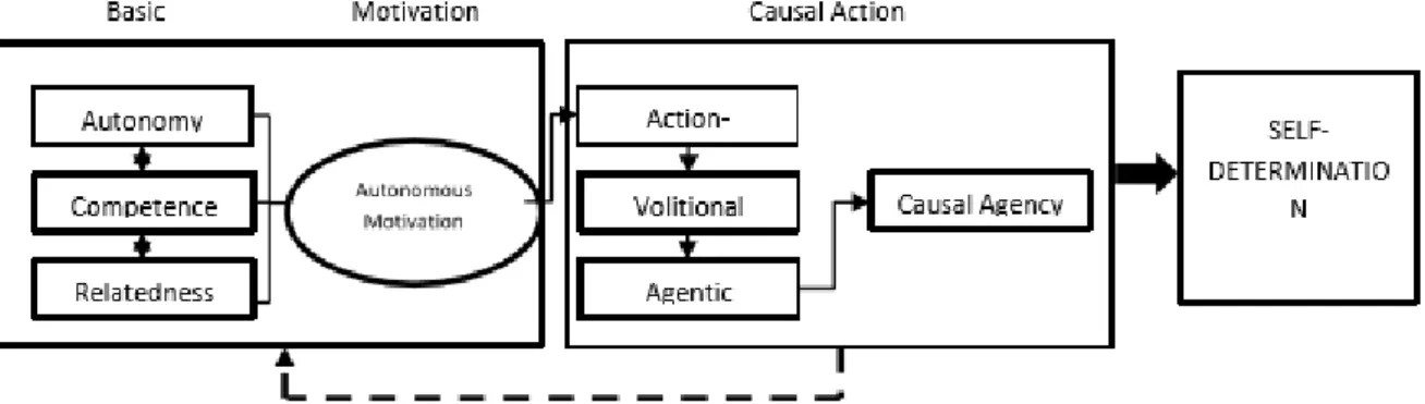 Figura  2-  Diagrama  do  desenvolvimento  da  autodeterminação  (Wehmeyer  &amp; 