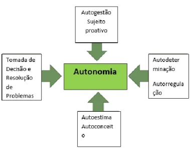 Figura 3- Competências e estratégias a adquirir para atingir a autonomia. 