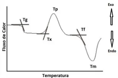 FIGURA 1.1  –  Curva de análise térmica de um material vítreo. 