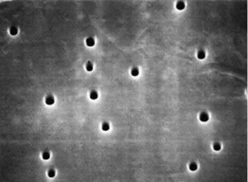 Figura 2.13 Micrografia de uma membrana produzida pela técnica de gravação  (adaptado de [43])
