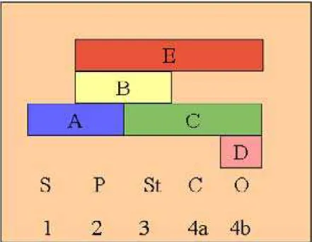 Figura 02 - Modelo ABCDE. Na representação esquemática a função de A é para  especificação da sépala (S), as funções ABE juntos estão associadas na formação das pétalas  (P), as funções BCE para estames (St), as funções CE para carpelos (C) e a função D, m
