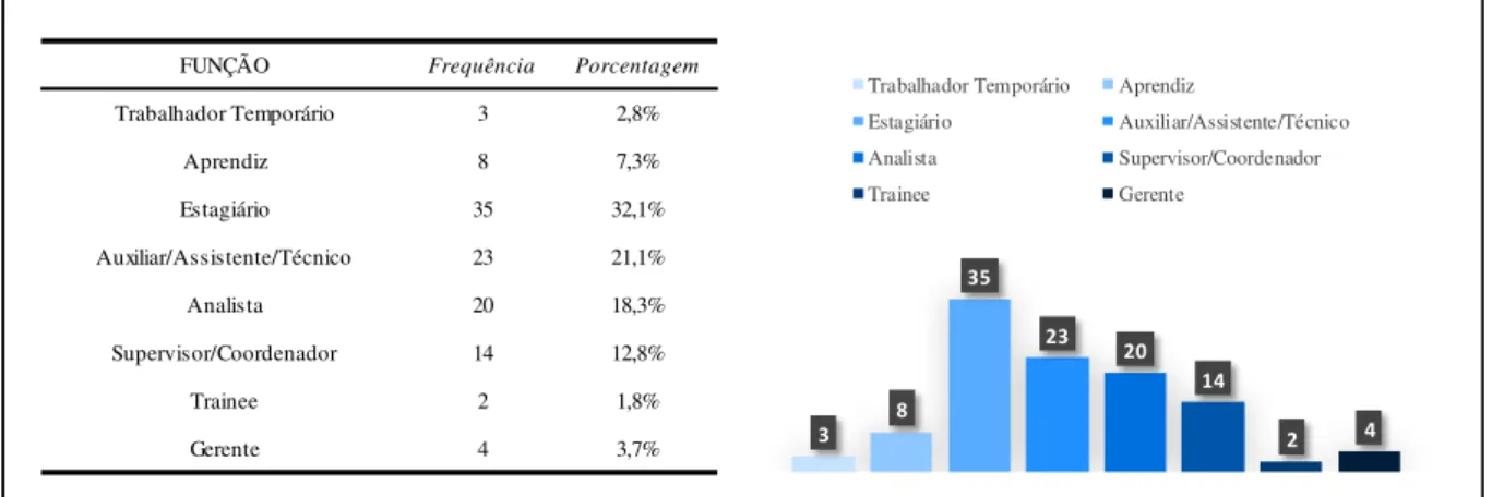 Figura 07 – Função dos Respondentes nas Empresas 