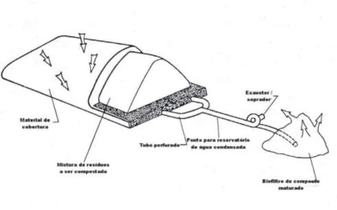 Figura 4 - Sistema de compostagem com leira estática aerada 