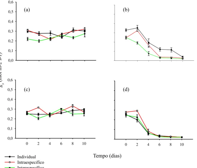 Figura 2 –  Condutância estomática (g s ) do par mais aparentado, C. glazioviana (controle; a e seca; b) e C