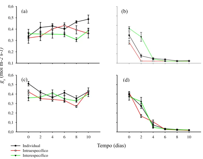 Figura 3 –  Condutância estomática (g s ) para o par intermediário, M. caesalpinifolia (controle; a e seca; b) e M