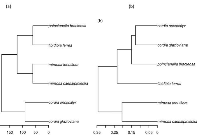 Figura 6 Dendrograma filogenético (a) e funcional (b).  