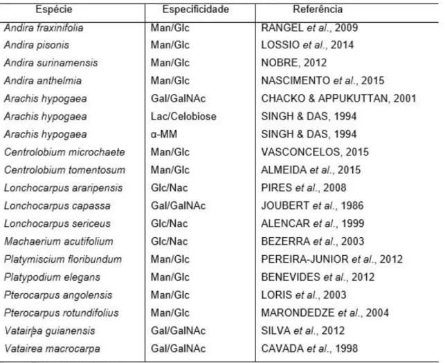 Tabela 1: Lectinas da tribo Dalbergieae. 