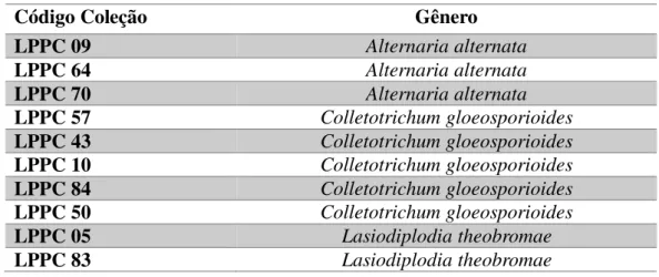 Tabela 1  –  Identificação dos isolados fúngicos utilizados no estudo. 