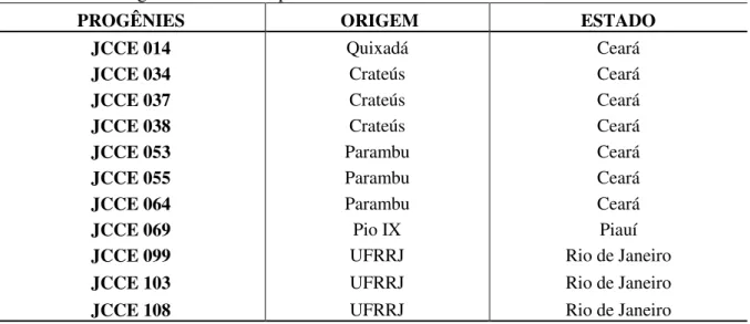Tabela 3  –  Progênies de Pinhão Manso utilizadas na determinação dos lipídios totais e local  de origem com seus respectivos estados 