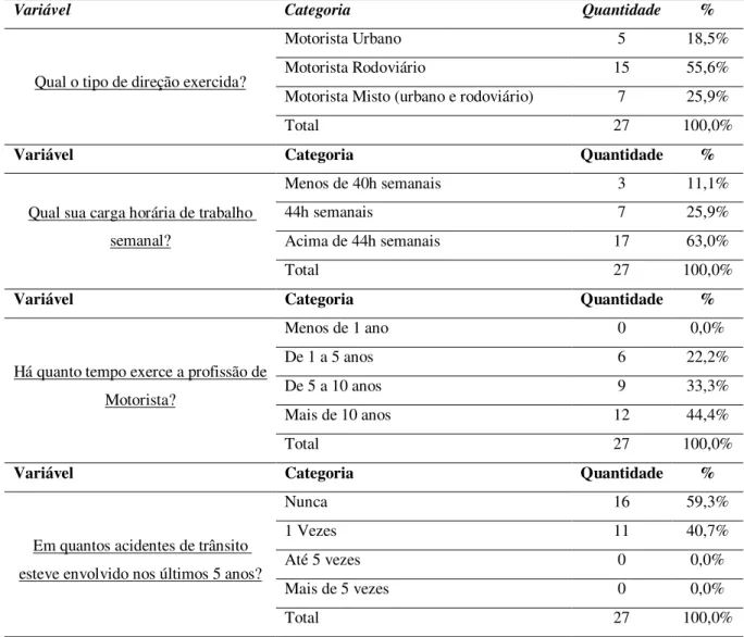 Tabela 8 – Análise do perfil profissional 