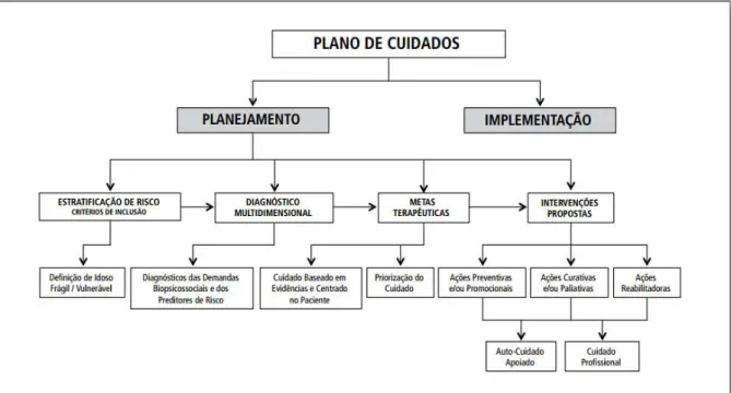 Figura 9 - Processo de planejamento e implementação do plano de cuidados. 