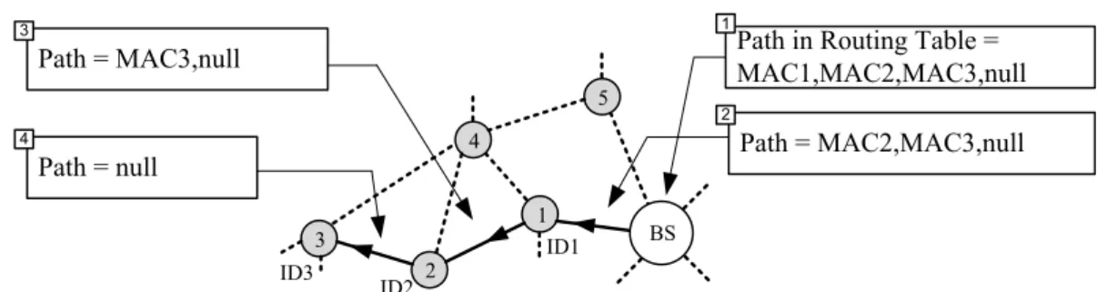 Figure 3.1: Value of path and length fields at different nodes on the path between BS and node SN3.