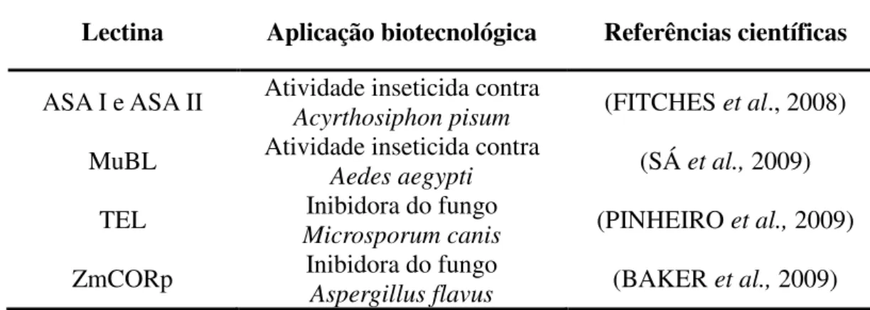 Tabela 1 – Aplicações biotecnológicas relatadas na literatura científica para algumas lectinas  Lectina  Aplicação biotecnológica  Referências científicas 