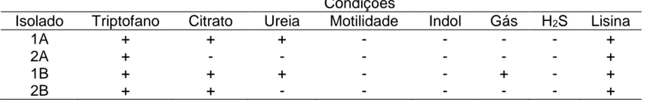 Tabela  2  .  Características  identificadas  após  período  de  incubação  em  meio  Rugai