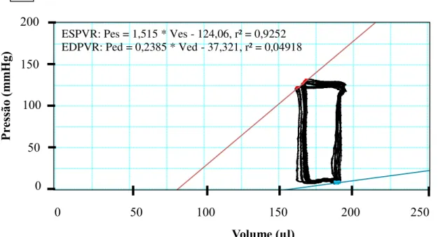 Figura  11  –  Efeito  da  peçonha  de  C.  margaritatus  sobre  a  curva  pressão-volume  da  hemodinâmica sistêmica