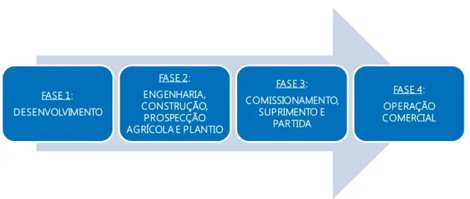 Figura 12: As 4 Fases de um Projeto Agroindustrial Greenfield de Bioenergia  Fonte: Elaboração do autor