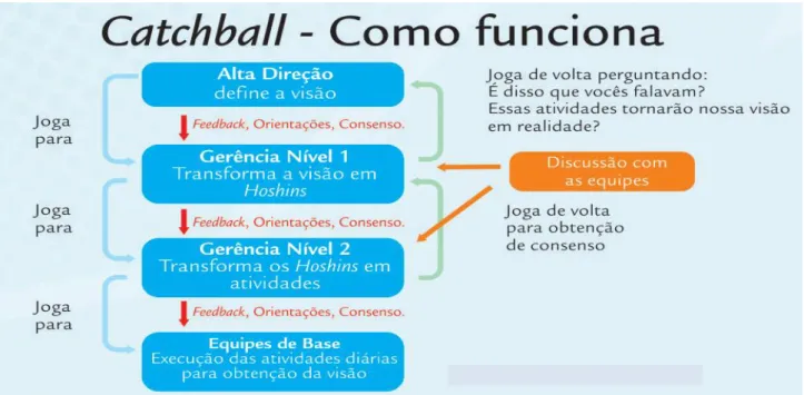 Figura 10 - Representação diagrama do Catchball 