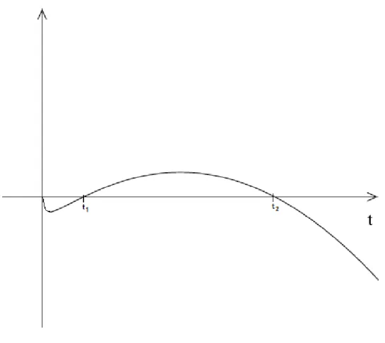 Figura 1.1: Gráfico de g λ