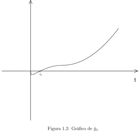 Figura 1.2: Gráfico de ¯ g λ